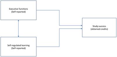 The combined value of executive functions and self-regulated learning to predict differences in study success among higher education students